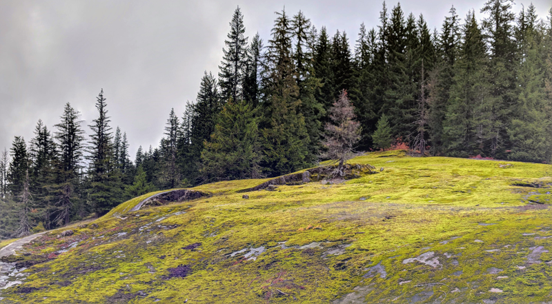 Illustration for article titled Mount Rainier: I want a Miata now